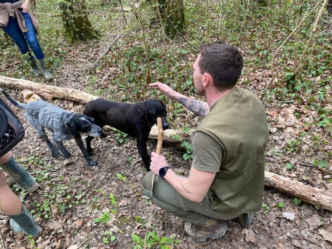 Livade: Guided Truffle Hunting Walking Tour - Frequently Asked Questions