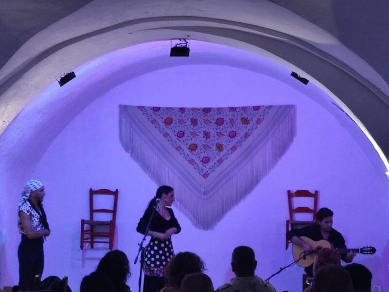 Live Flamenco Show Arcos De La Frontera - Accessibility and Restrictions