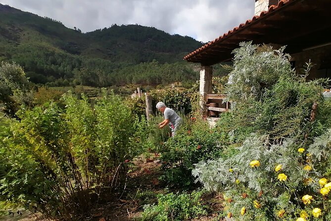 Live Like a Local - 3-Day Experience in Gerês Mountain With Local Food Tasting - Accommodation and Transportation Logistics