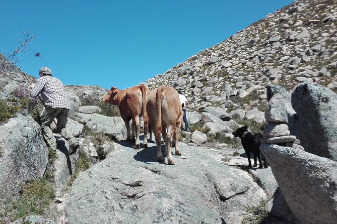 Live Like a Local - 3-Day Experience in Gerês Mountain With Local Food Tasting - Preparing for the Experience