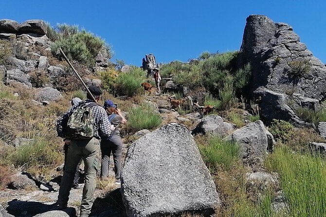 Live Like a Local - 3-Day Experience in Gerês Mountain With Local Food Tasting - Highlights of the 3-Day Itinerary
