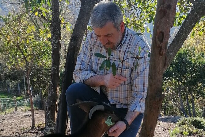 Live Like a Local - 3-Day Experience in Gerês Mountain With Local Food Tasting - Sum Up