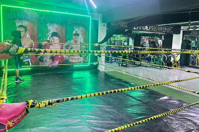 Live Lucha Libre and from the gym to the ring - Key Points