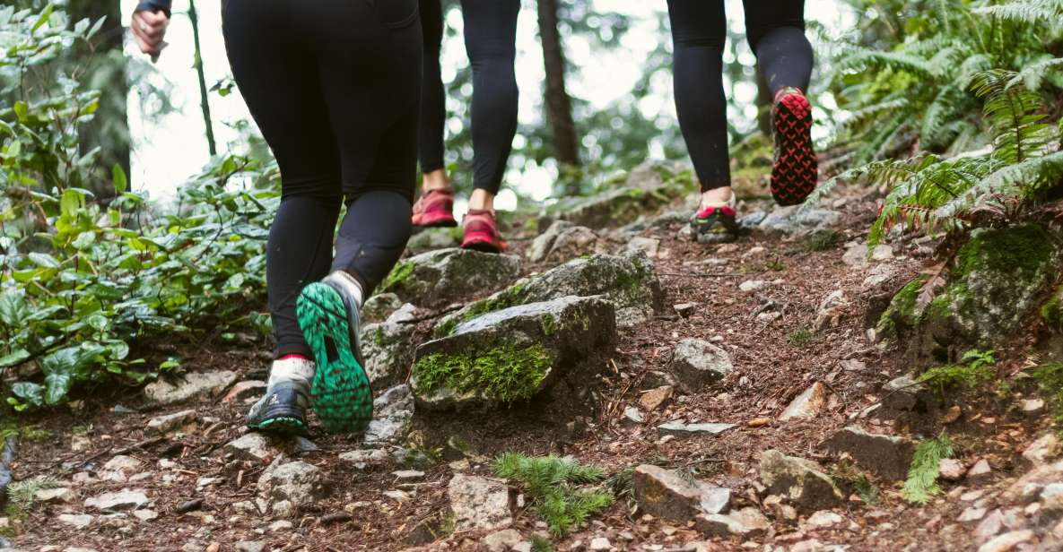 Live My Exercise Routine in Nature That Elevates Your Senses - Meditation and Relaxation Sessions