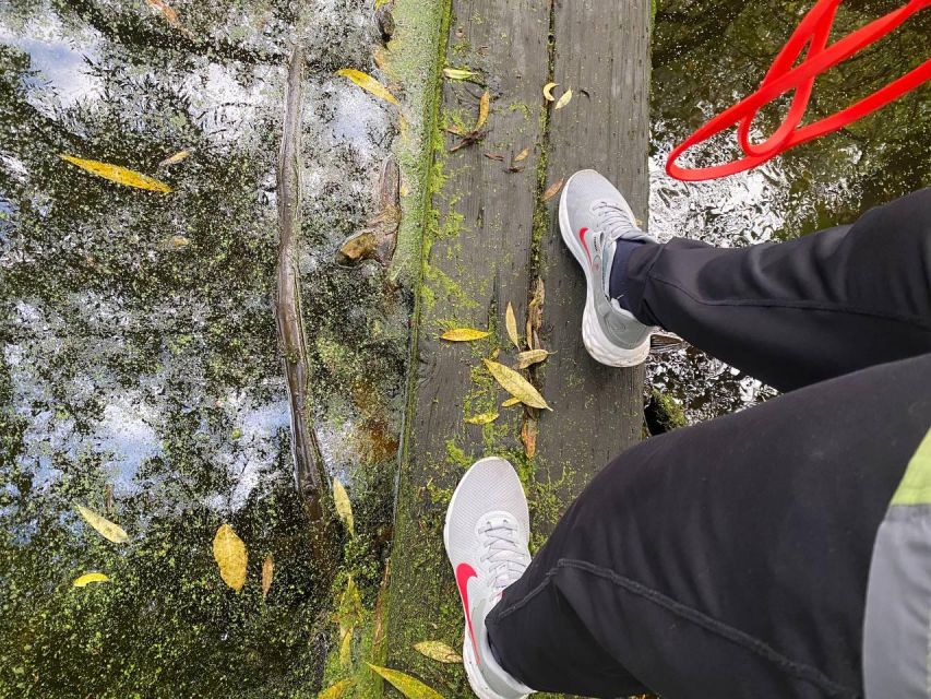 Live My Exercise Routine in Nature That Elevates Your Senses - Exploring Natural Trail Landscapes