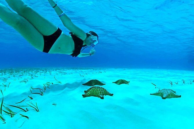 Live this unique snorkeling experience. El Cielo in Cozumel a magical tour. - Wrapping Up