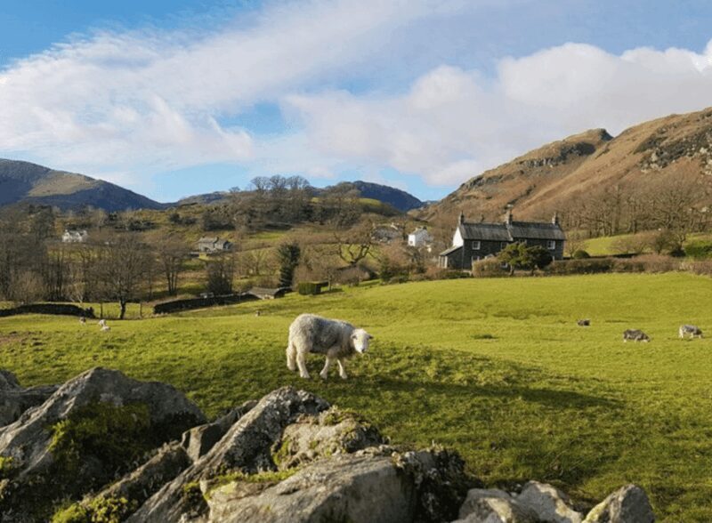 Liverpool: Lake District Tour with Lake Cruise & Train Ride - The Itinerary in Detail
