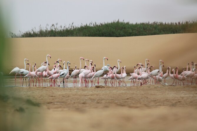 LIVING DESERT TOUR (Little 5 TOUR) - Participant Requirements