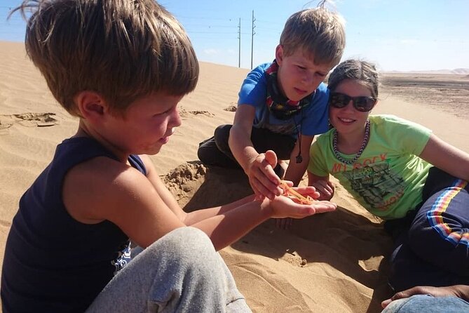 LIVING DESERT TOUR (Little 5 TOUR) - The Tour Experience