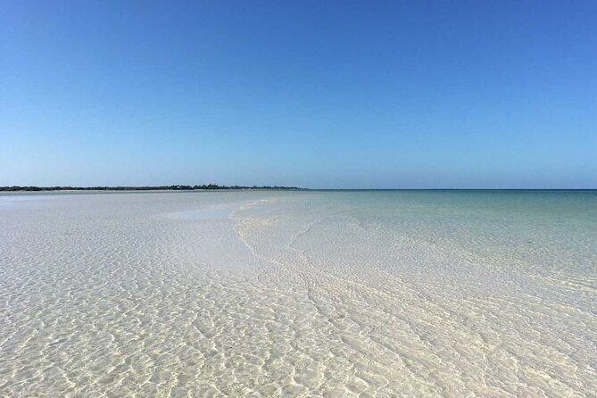 Living Dream, Holbox Tour! Round Transportation from Cancun - FAQ