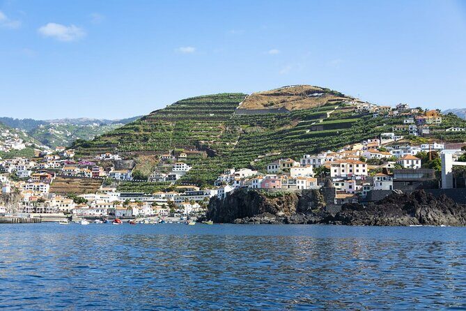Living Sea Boat Trip in Madeira from Funchal - Who is This Tour For?