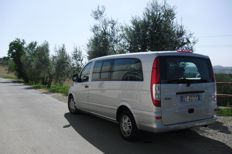 Livorno Port, Pisa, Florence: Full-Day Shore Excursion - Key Points