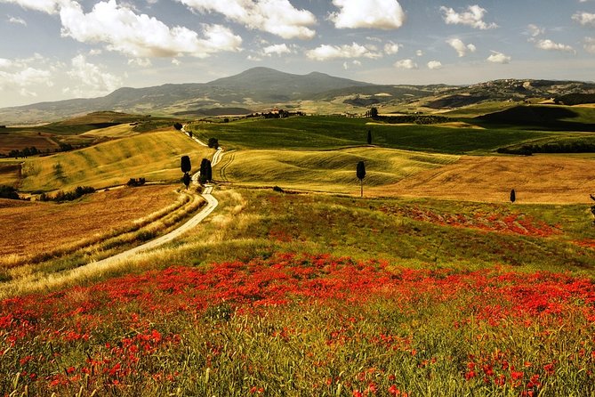 Livorno Port ShorExcursion: Montalcino Pienza Tuscany Wine&Cheese - Wine Tasting Experience