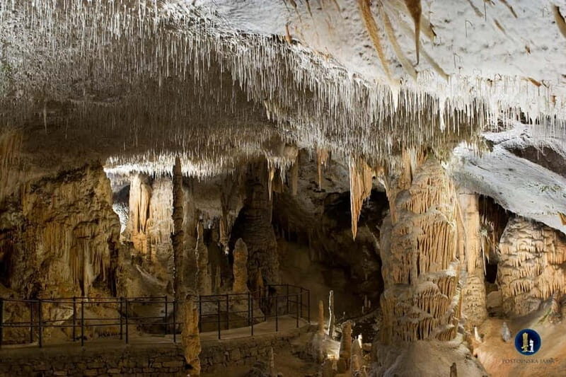 Ljubljana: Postojna Cave and Predjama Castle Tour - Introduction