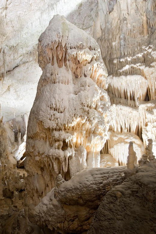 Ljubljana: Postojna Cave and Predjama Castle Tour - Authentic Experiences and Tips from Reviews