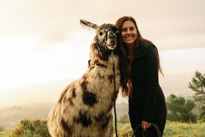 Llama Sunset Hike - A Detailed Look at the Maui Llama Sunset Hike