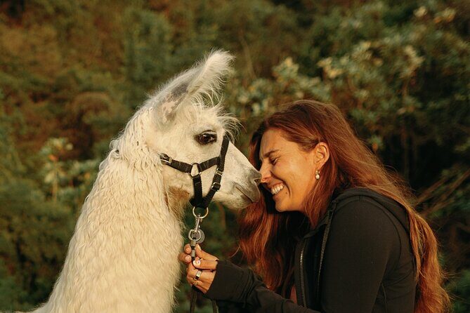 Llama Sunset Hike - FAQ