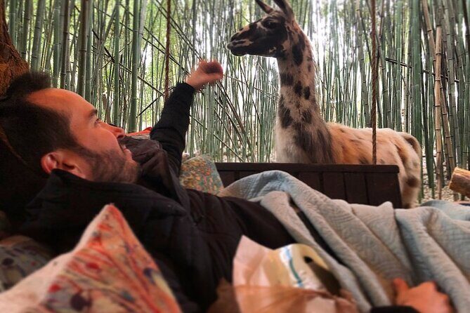 Llama Yoga - What Is Llama Yoga? An Unusual Twist on Wellness