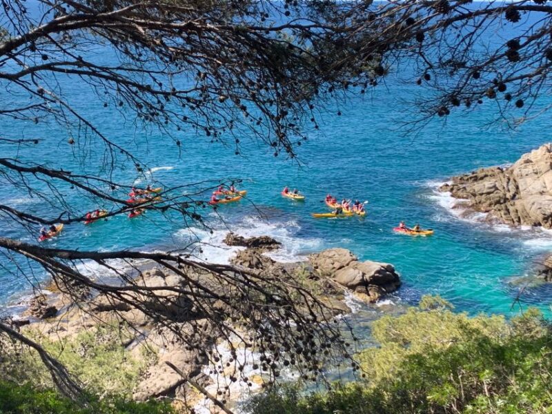 Lloret De Mar: 3-Hour Kayak and Snorkel Tour on Costa Brava - Consideration for Dizziness-Prone Individuals