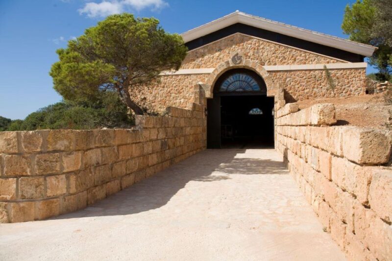 Llucmajor: Bodegas Bordoy Wine Tour - Tour Highlights