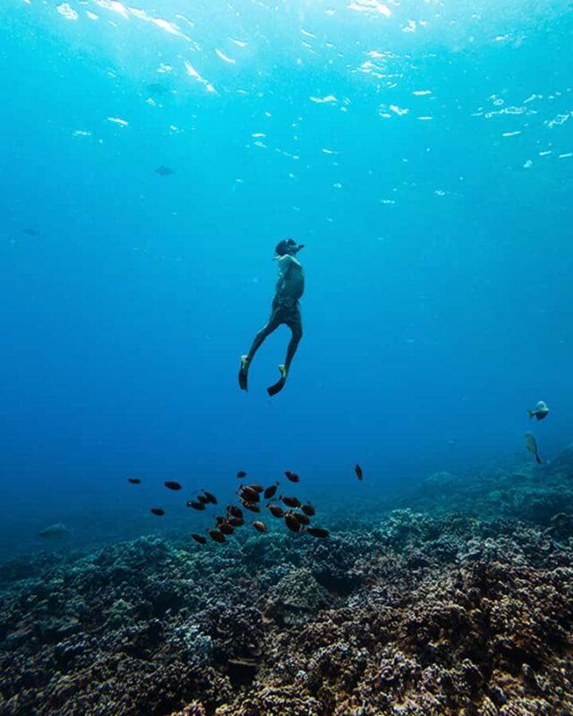 Lna'i Coast Snorkel & Sail from Lahaina - Key Points