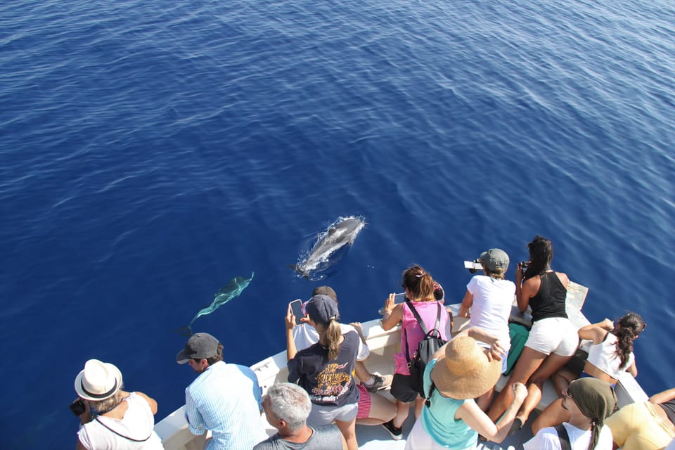 Loano: Pelagos Sanctuary Wildlife Cruise With Guide - Inclusions and Amenities