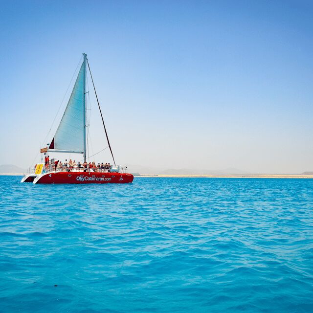 Lobos Island: 4-Hour Catamaran Trip with Lunch - Lobos Island: 4-Hour Catamaran Trip with Lunch — An Honest Look