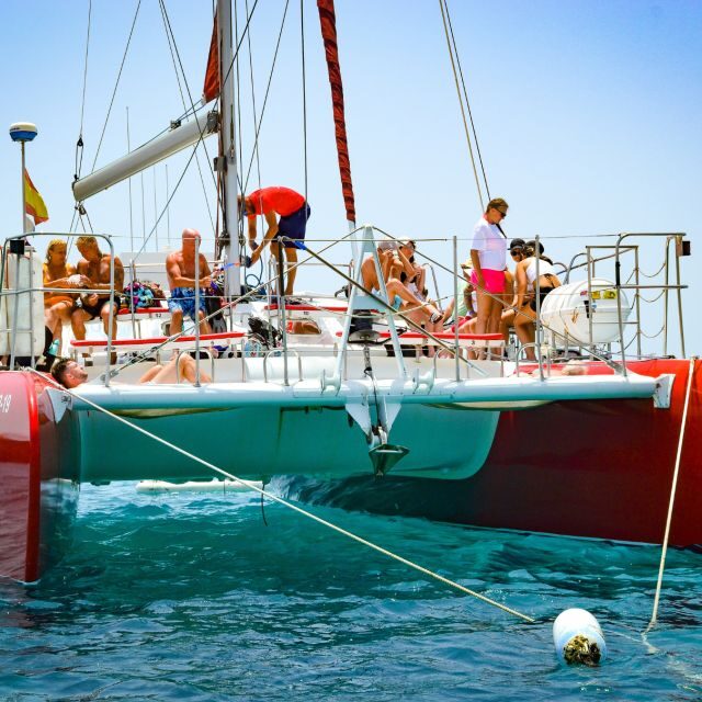 Lobos Island: 4-Hour Catamaran Trip with Lunch - Practical Details: Transportation, Timing, and Group Size