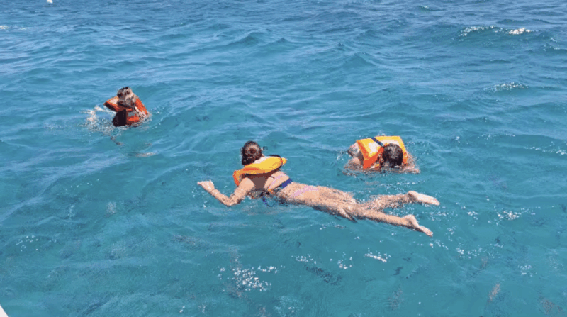 Lobos Island: Guided Turtle Searching Tour and Snorkeling - Itinerary and Activities
