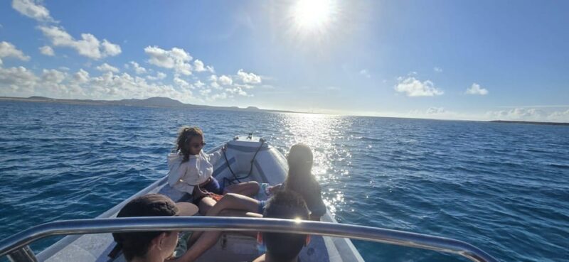Lobos Island: Guided Turtle Searching Tour and Snorkeling - Exploring the Volcanic Landscape