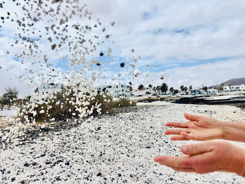 Lobos Island, Popcorn Beach, & Dunes Tour - What’s Included and What’s Not