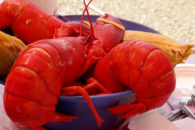 Lobster and Beer Sail in New York City - Questions About Your Stay