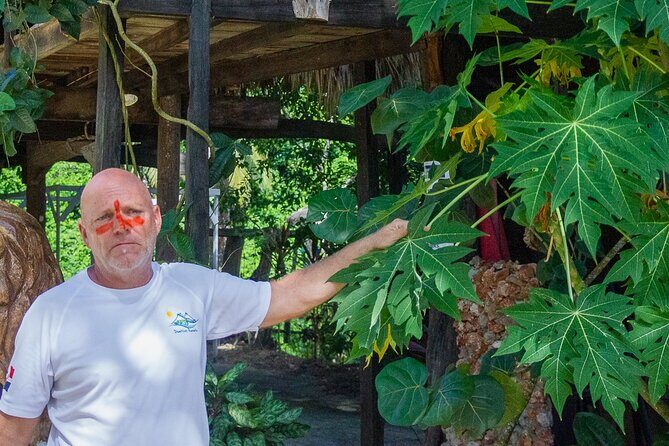 Local Excursion || Jungle Safari Excursion - Analyzing the Value