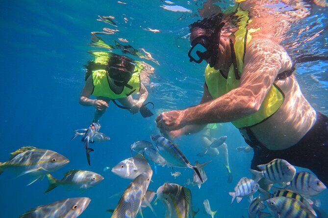 Local Excursion | Paradise Island Punto Rucia & snorkeling - Value and Practical Tips