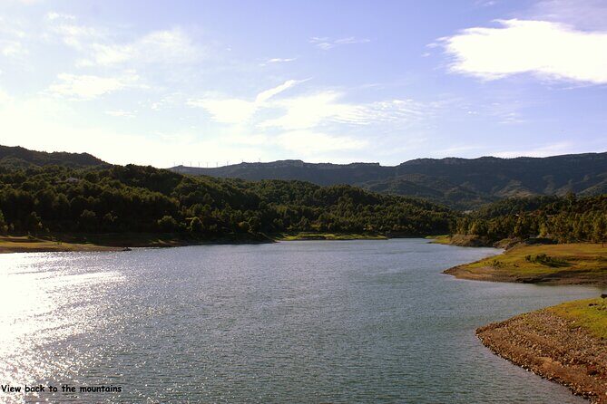 LOCAL FLAVORS! Half-Day Bike Tour with Olive Oil Tasting - FAQs