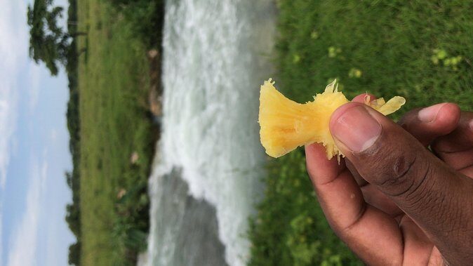 Local food tour and local fields - Who Should Consider This Tour?