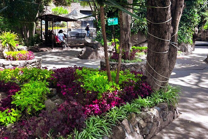 Local Fun from CDMX to The Grotto and the Pyramids of Teotihuacá - FAQ