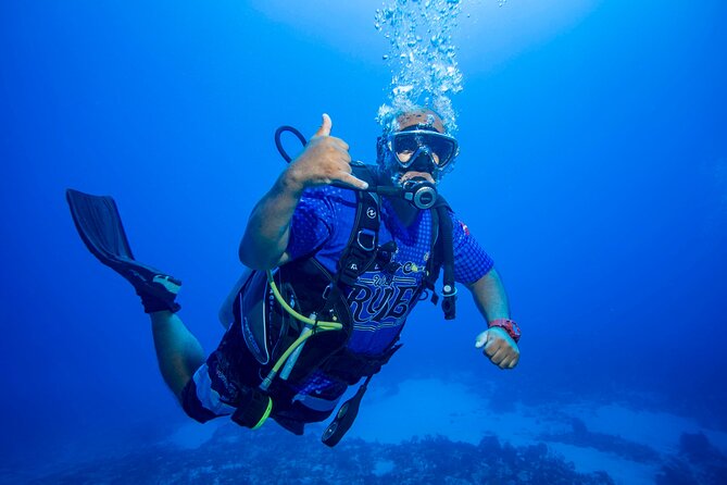Local Reef Dives for Certified Divers - Dive Site Details