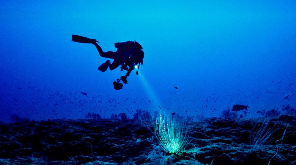 Local Scuba Night Dive - Preparing for the Night Dive Experience