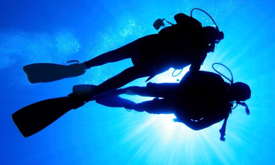 Local Scuba Night Dive - Navigating the Hol Chan Marine Reserve