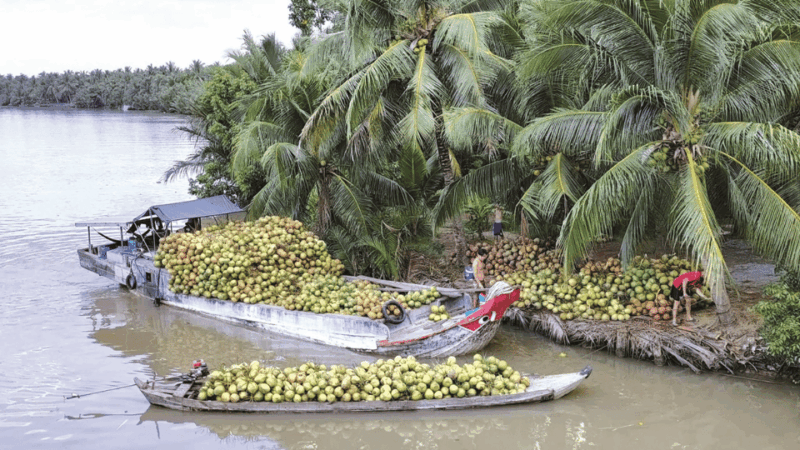 Local Touch-Less Touristy Mekong Delta Ben Tre Day Trip - Detailed Itinerary