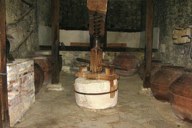 Local Wineries Tour with Wine Testing from Paphos - Authentic Insights from Past Travelers