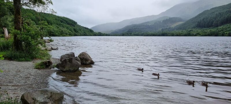 Loch Lomond and The Highlands Day Tour - Key Points