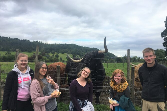 Loch Lomond National Park Tour With 2 Walks Starting Balloch - Cancellation and Refund Policy