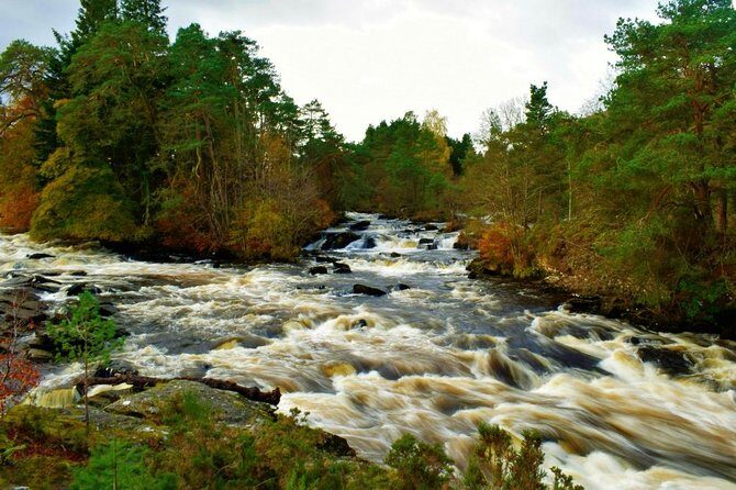 Loch Lomond & The Highlands Private Day Tour with Scottish Local - Analyzing the Cost and Value