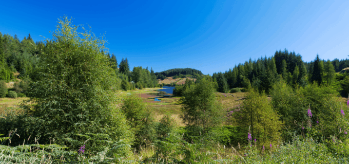 Loch Lomond & Trossachs National Park Drive Tour With an App - Booking and Payment Options
