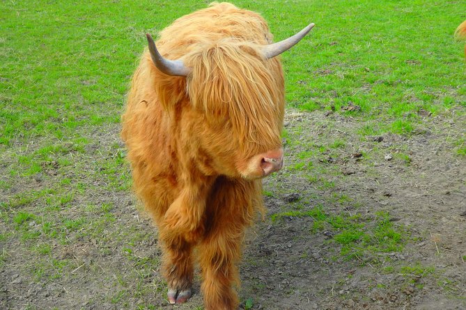 Loch Ness & Culloden Battlefield Private Tour From Inverness - Reviews and Testimonials
