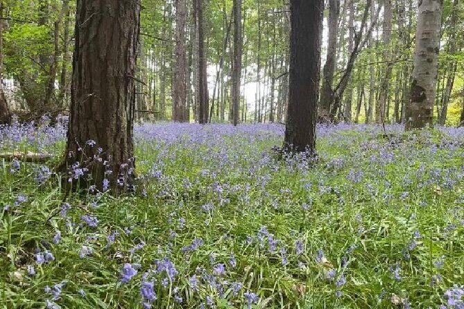 Loch Ness, Culloden, Clava and whisky/gin tour from Inverness. - Final Thoughts