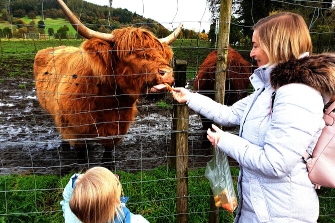 Loch Ness, Glencoe, Urquhart Castle, Luxury Private Tour - Visiting Urquhart Castle