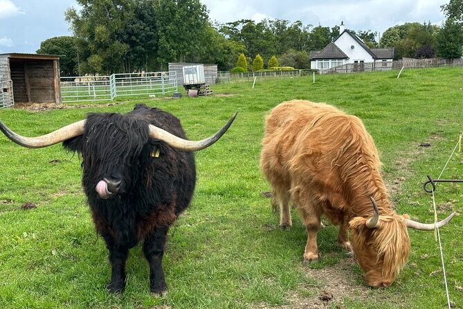 Loch Ness Tour: Day Trip to Loch Ness, Outlander Sites and More - Introduction